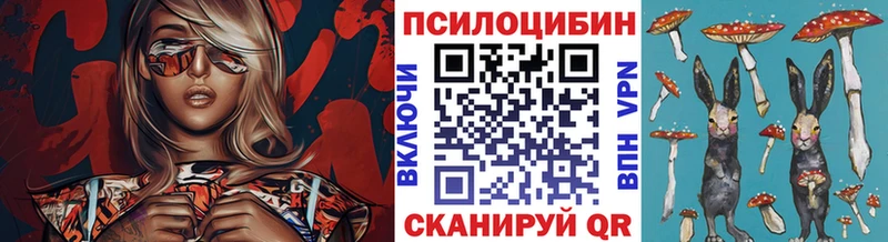 Галлюциногенные грибы Psilocybine cubensis  цена   Зеленокумск 